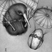 Kiwi/Parachute